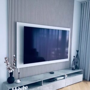 TV-sein